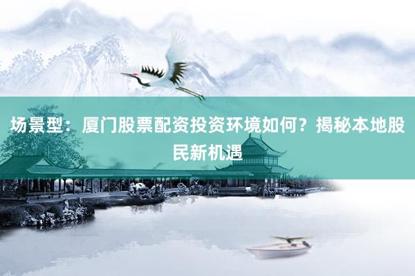 场景型:厦门股票配资投资环境如何?揭秘本地股民新机遇