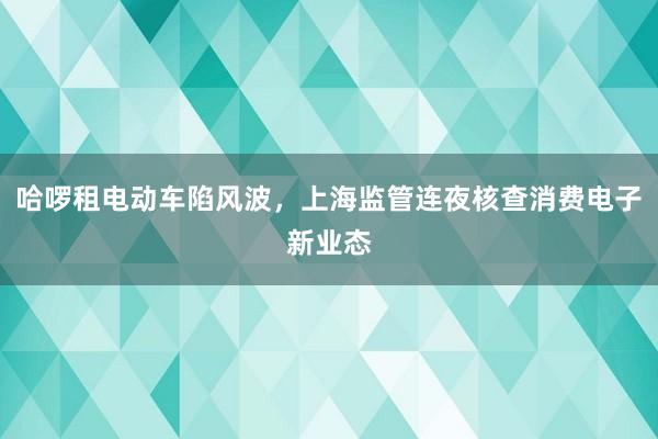 哈啰租电动车陷风波，上海监管连夜核查消费电子新业态