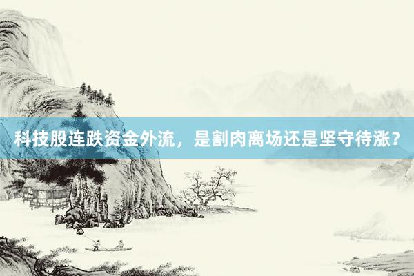 科技股连跌资金外流，是割肉离场还是坚守待涨？
