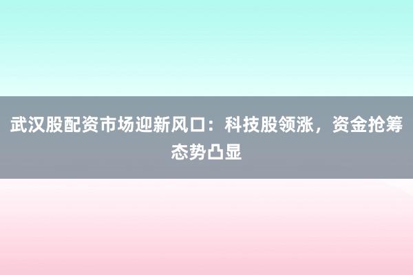 武汉股配资市场迎新风口：科技股领涨，资金抢筹态势凸显