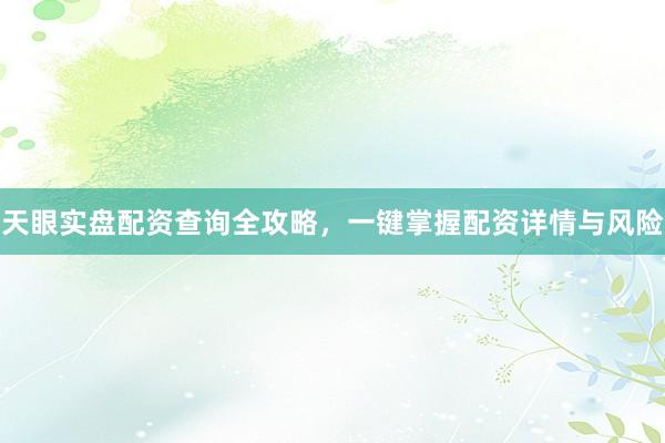 天眼实盘配资查询全攻略，一键掌握配资详情与风险