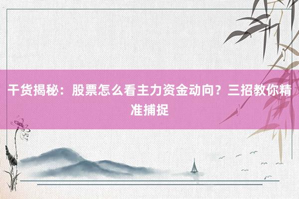 干货揭秘:股票怎么看主力资金动向?三招教你精准捕捉