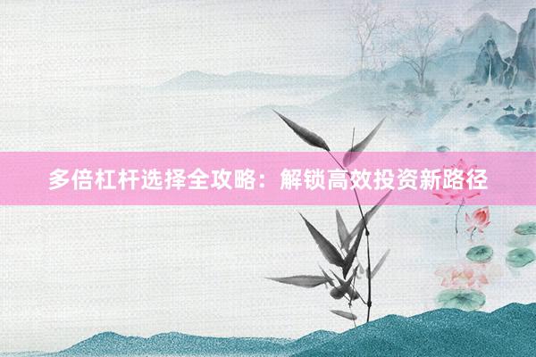 多倍杠杆选择全攻略：解锁高效投资新路径