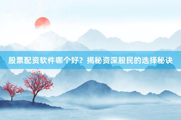 股票配资软件哪个好？揭秘资深股民的选择秘诀